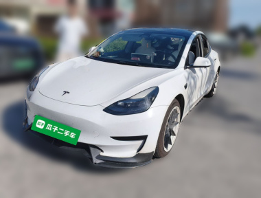 Tesla Model 3 2022 immagine di auto 