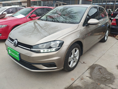 Volkswagen Golf 2019 Volkswagen Golf 2019 car image