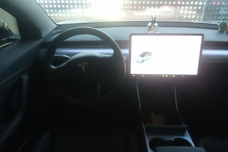 Tesla Model 3 2020 car image #15