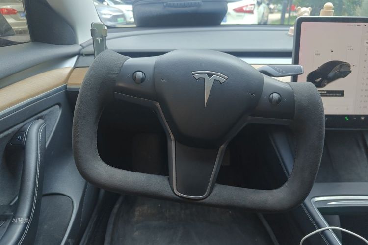 Tesla Model 3 2021 immagine di auto #12