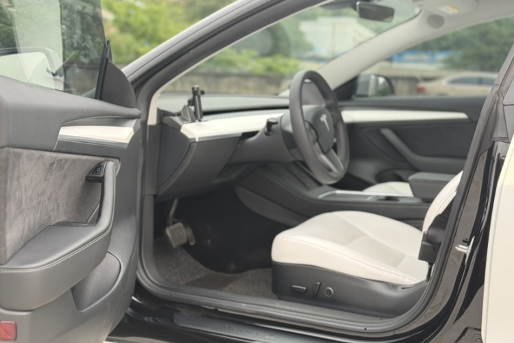 Tesla Model 3 2021 car image #20