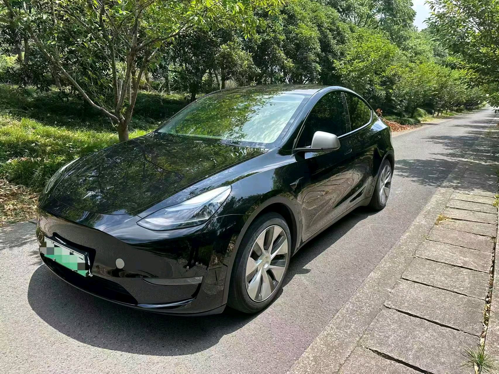 Tesla Model Y 2021 Tesla Model Y 2021 car image