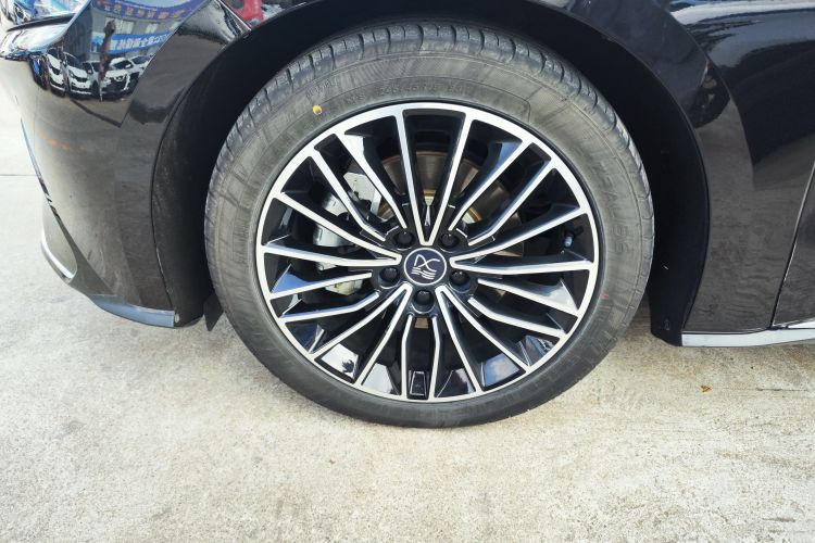 BYD Han 2022 #9 BYD Han 2022 immagine di auto #9