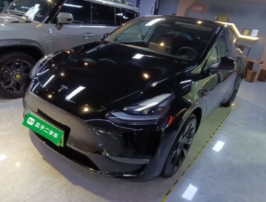 Tesla Model Y 2021 Tesla Model Y 2021 car image