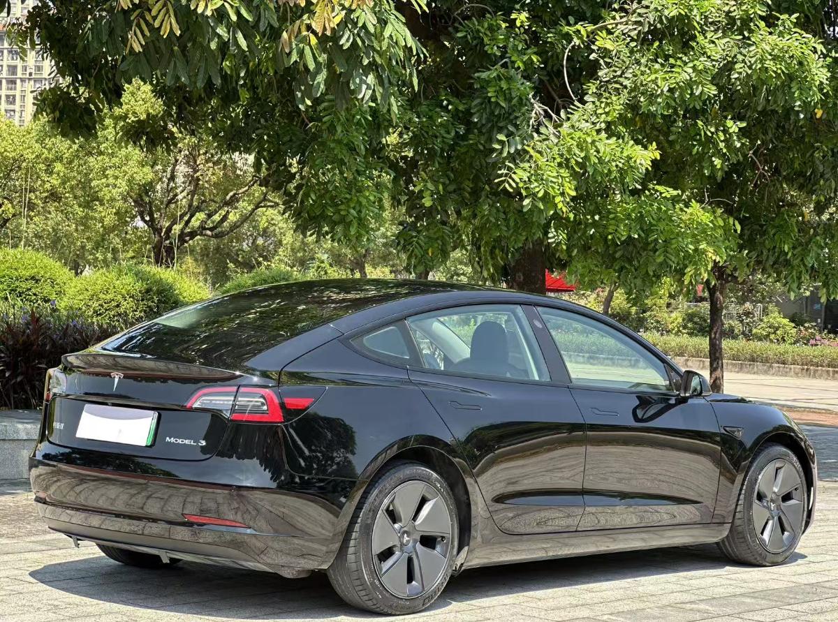 Tesla Model 3 2021 #9 Tesla Model 3 2021 car image #9