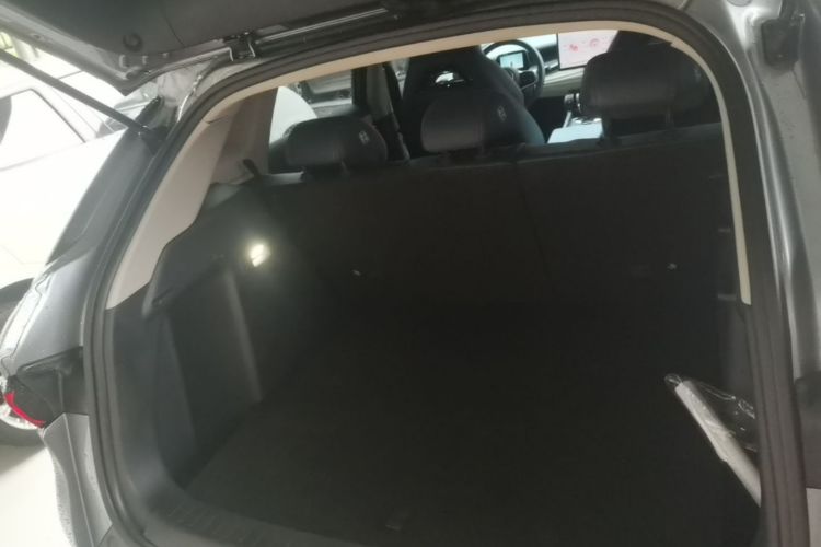 BYD Yuan Plus 2023 car image #19