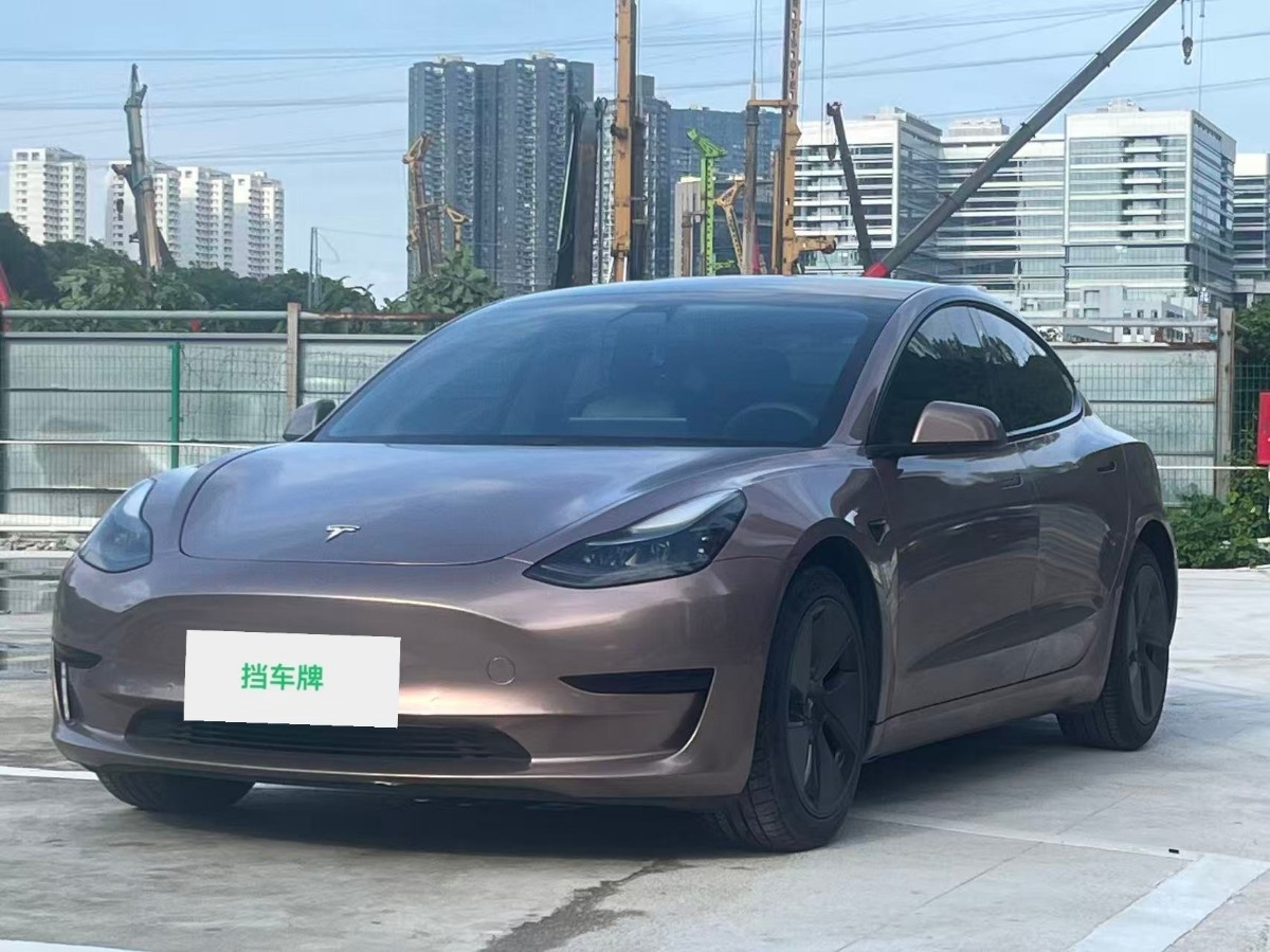 Tesla Model 3 2021 car image 