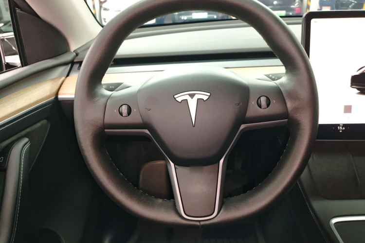 Tesla Model Y 2022 immagine di auto #13