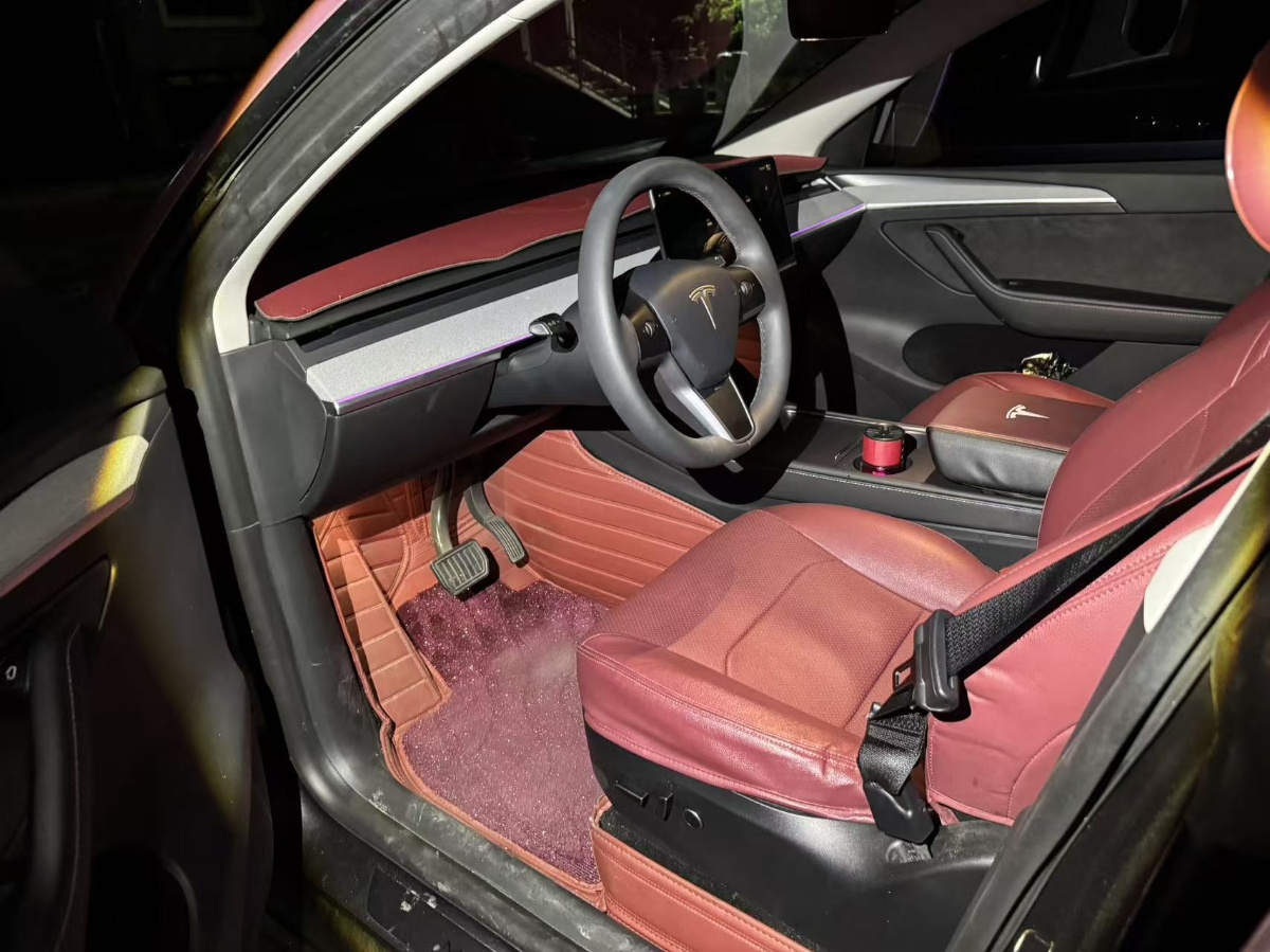 Tesla Model Y 2024 car image #2