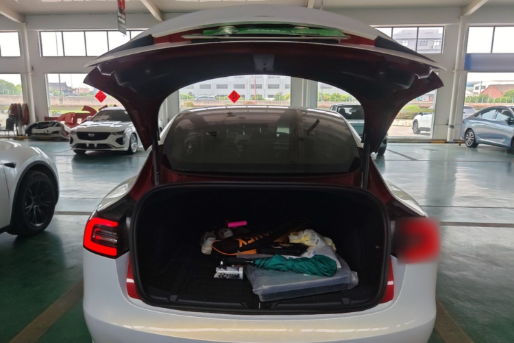 Tesla Model 3 2020 car image #19