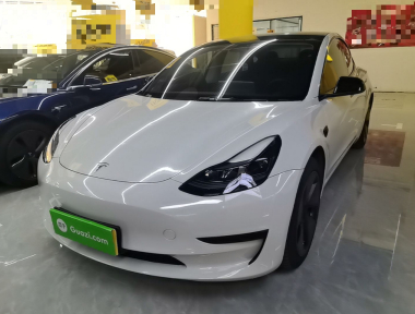 Tesla Model 3 2023 Tesla Model 3 2023 car image
