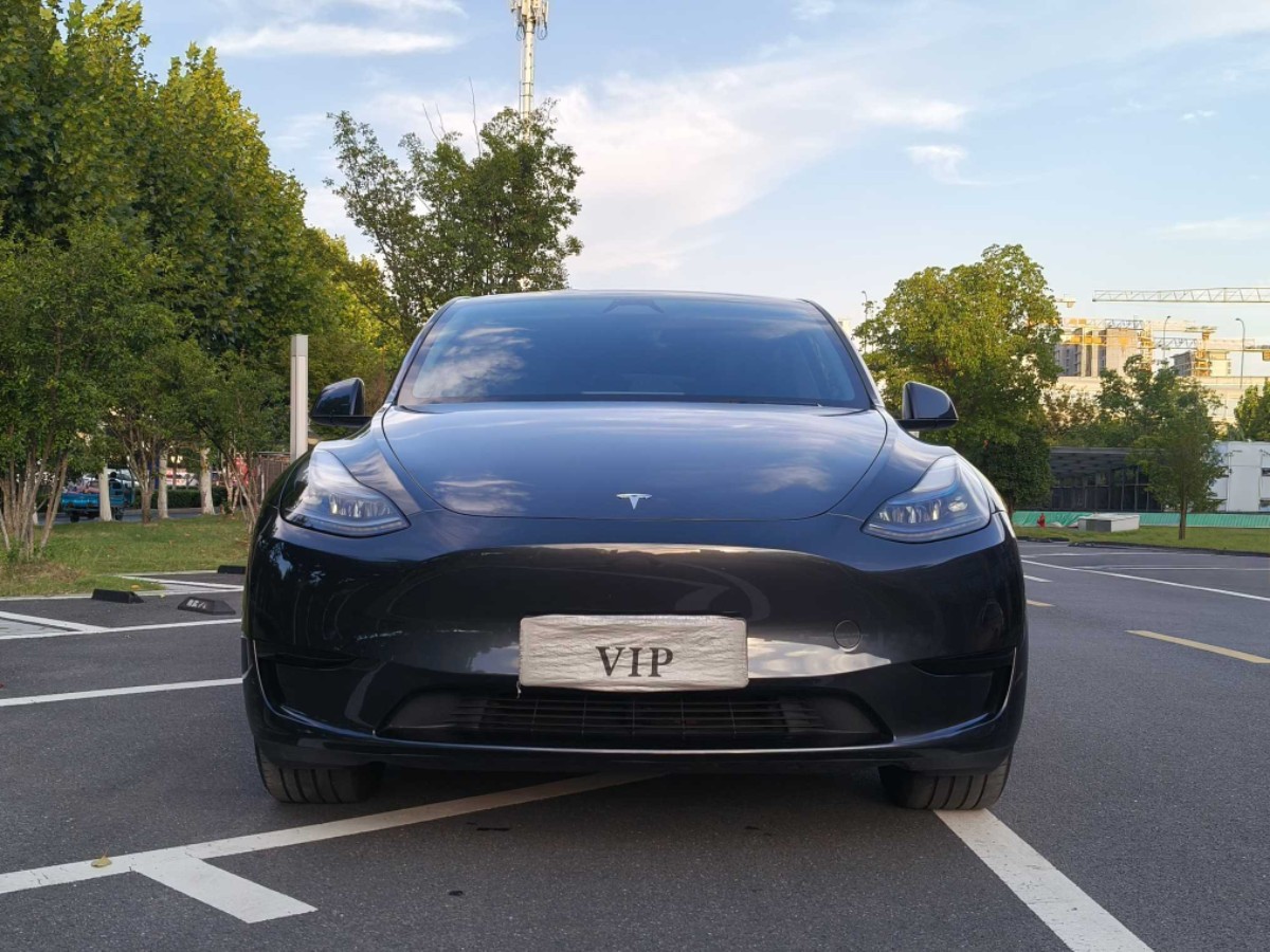 Tesla Model Y 2024 car image #2