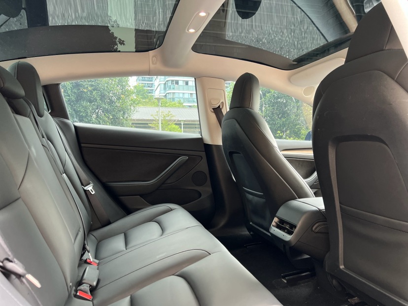 Tesla Model 3 2021 #12 Tesla Model 3 2021 car image #12