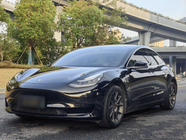 Tesla Model 3 2020 Tesla Model 3 2020 صورة سيارة