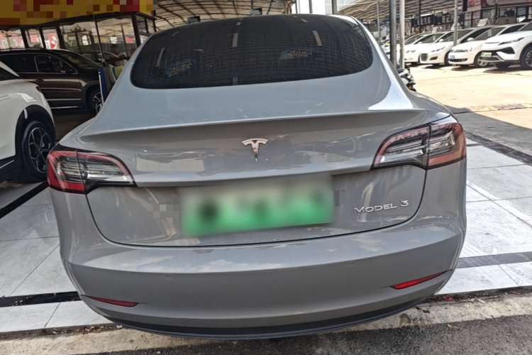 Tesla Model 3 2020 car image #4
