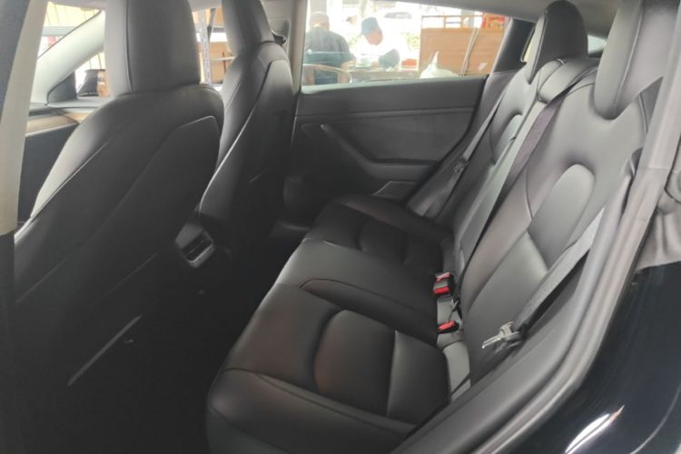 Tesla Model 3 2021 car image #17