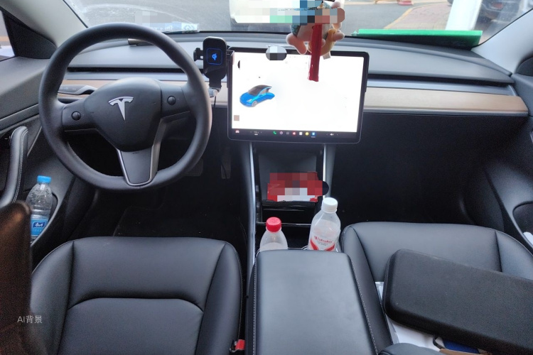 Tesla Model 3 2020 car image #11