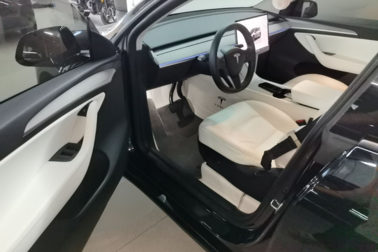 Tesla Model Y 2023 immagine di auto #16