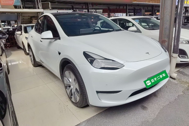 Tesla Model Y 2021 car image #4