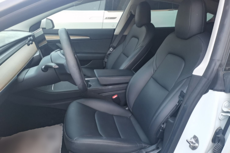Tesla Model 3 2021 car image #15