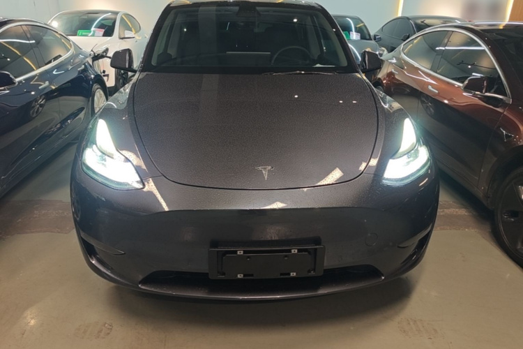 Tesla Model Y 2021 car image #3