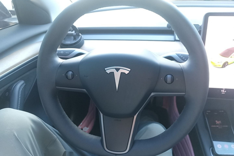 Tesla Model 3 2022 #15 Tesla Model 3 2022 immagine di auto #15
