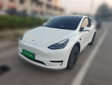 Tesla Model Y 2024 Tesla Model Y 2024 car image