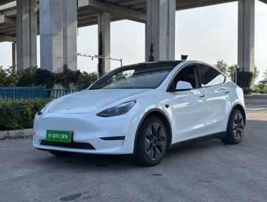 Tesla Model Y 2021 car image 
