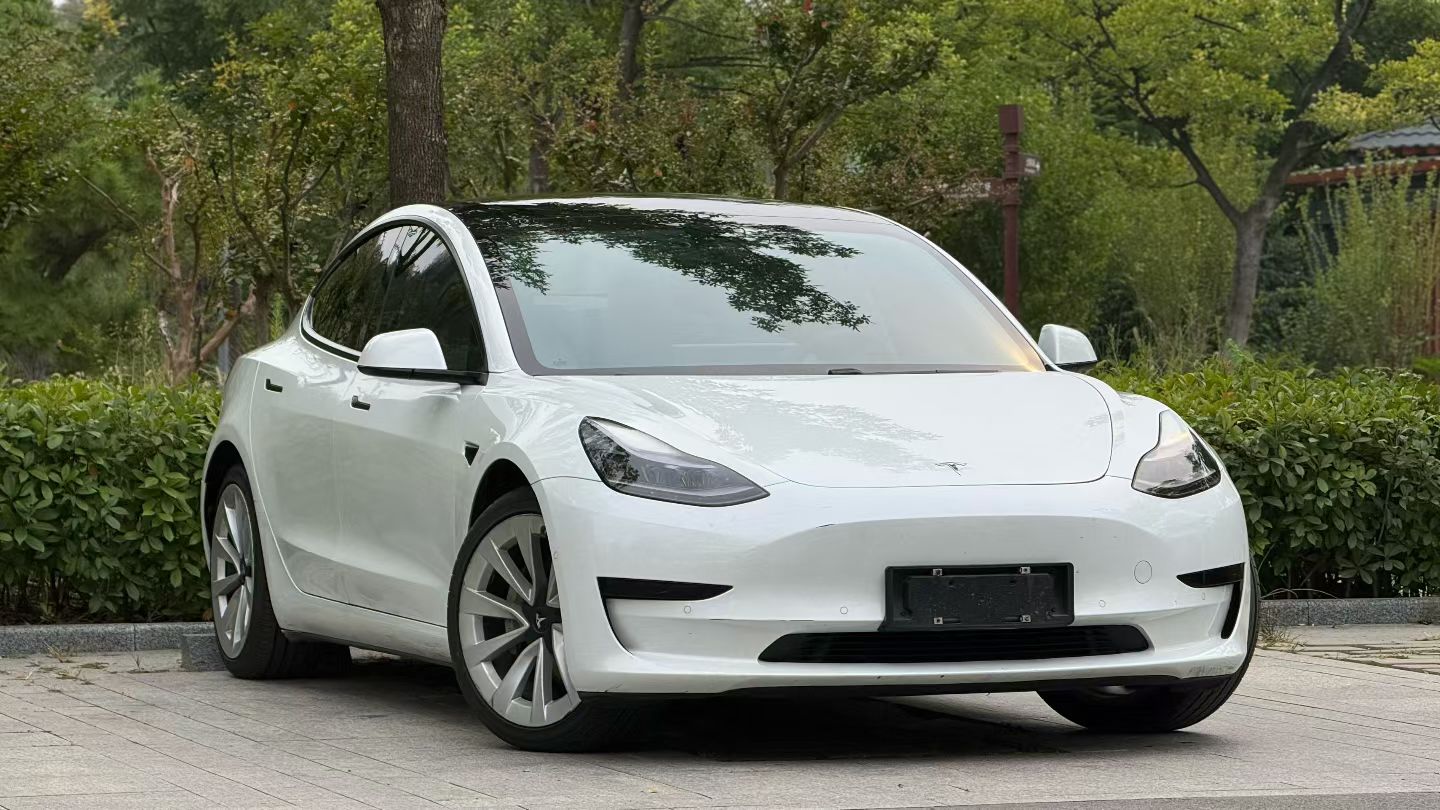 Tesla Model 3 2021 #3 Tesla Model 3 2021 car image #3