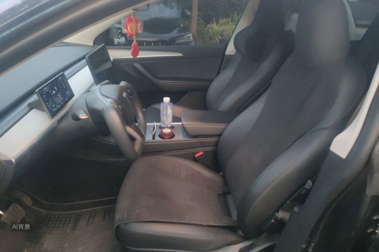 Tesla Model Y 2024 car image #17