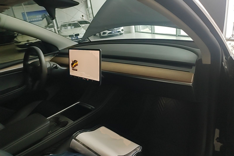 Tesla Model Y 2022 #10 Tesla Model Y 2022 immagine di auto #10