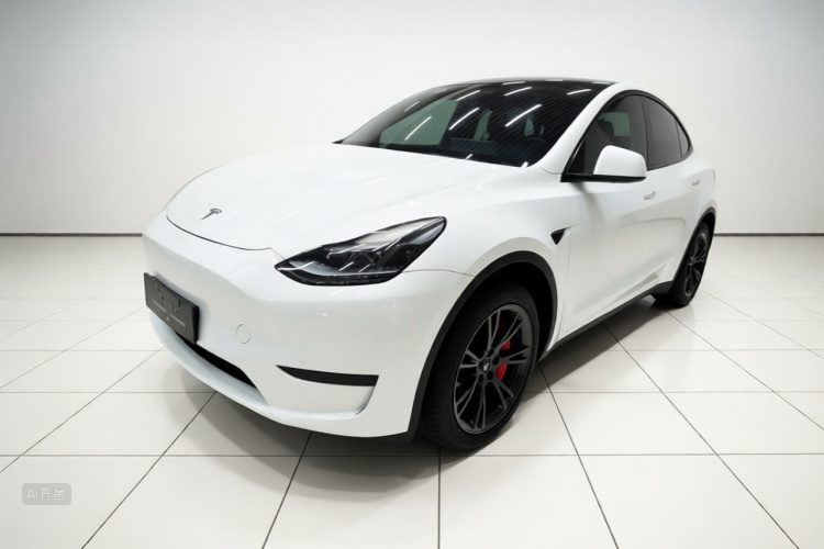 Tesla Model Y 2024 #2 Tesla Model Y 2024 car image #2