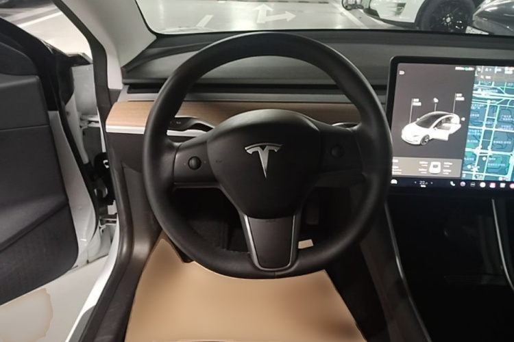 Tesla Model 3 2020 car image #12