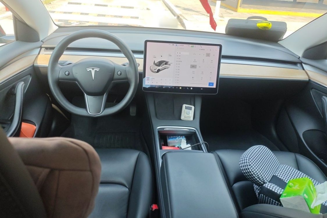 Tesla Model 3 2021 #21 Tesla Model 3 2021 car image #21