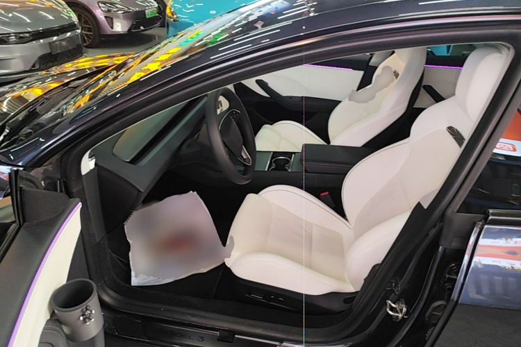 Tesla Model 3 2024 car image #16