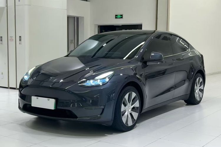 Tesla Model Y 2021 #2 Tesla Model Y 2021 car image #2