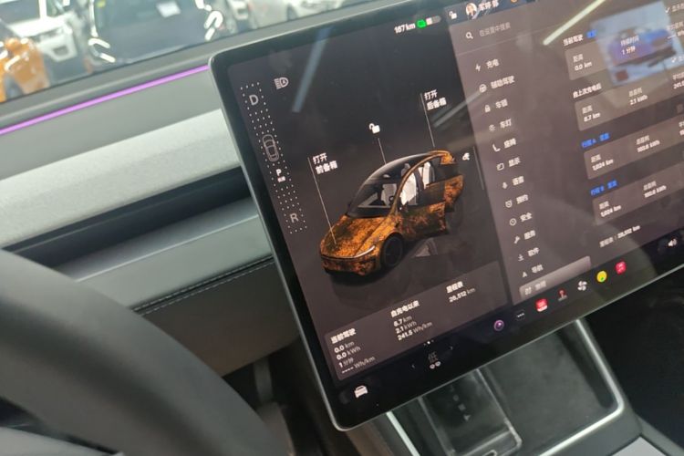 Tesla Model Y 2025 car image #14