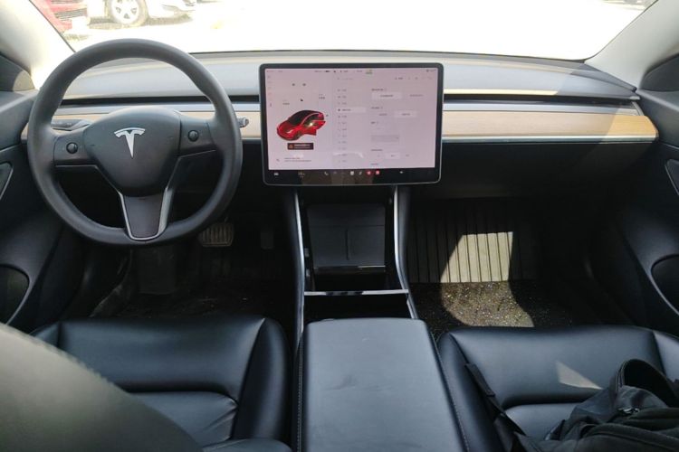 Tesla Model 3 2020 car image #10