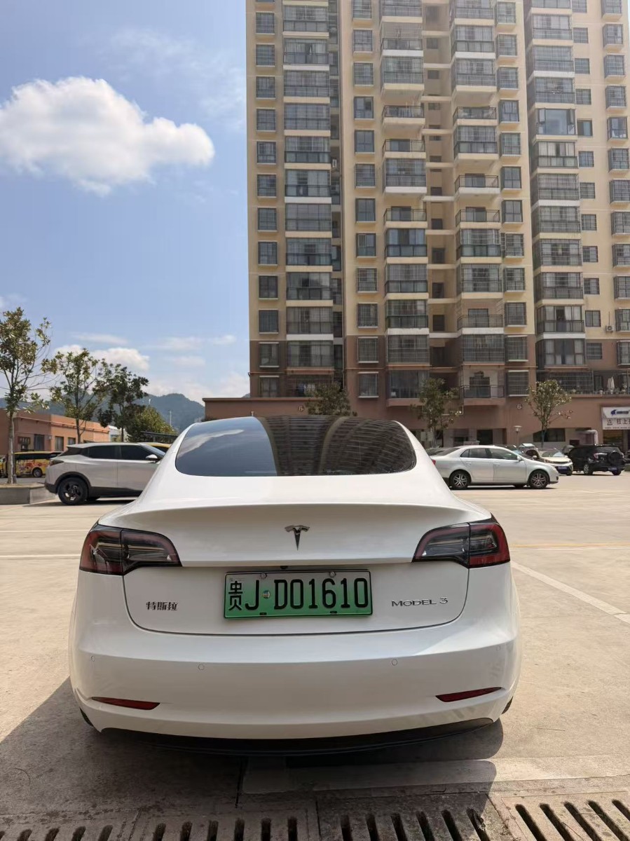 Tesla Model 3 2021 imagem de carro #4