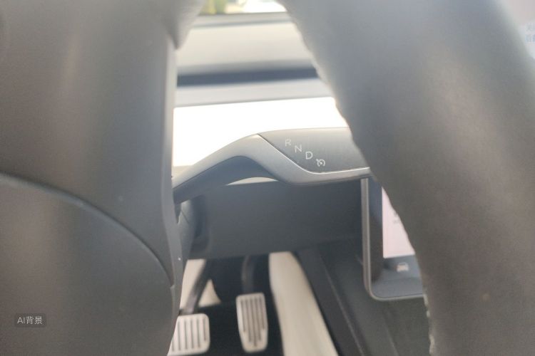 Tesla Model Y 2021 #16 Tesla Model Y 2021 car image #16