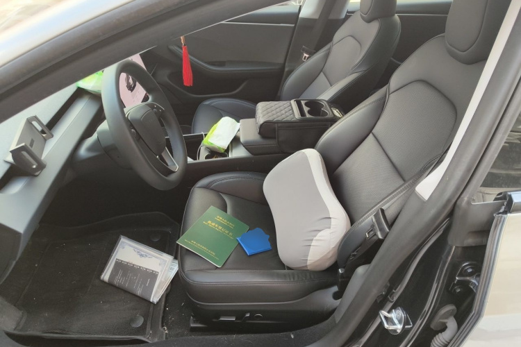 Tesla Model 3 2024 car image #15