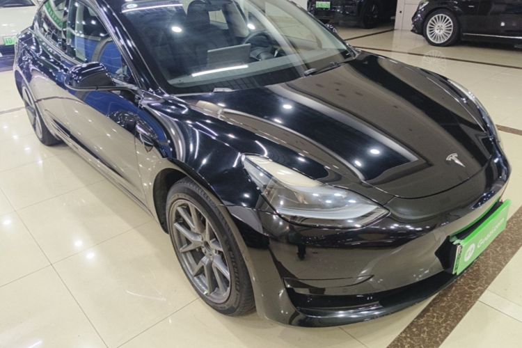 Tesla Model 3 2023 #6 Tesla Model 3 2023 car image #6
