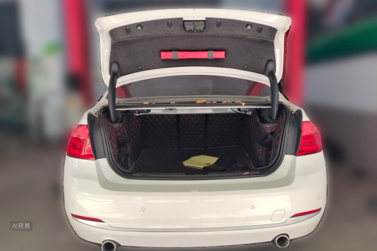 BMW 3 Series 2016 car image #21
