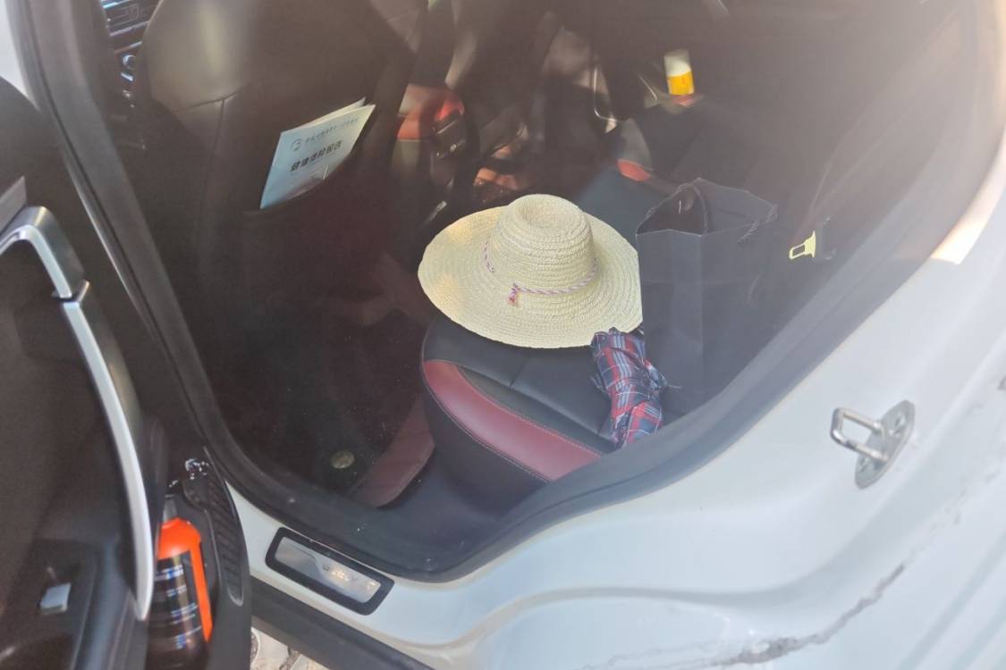 GEELY Coolray 2020 car image #19