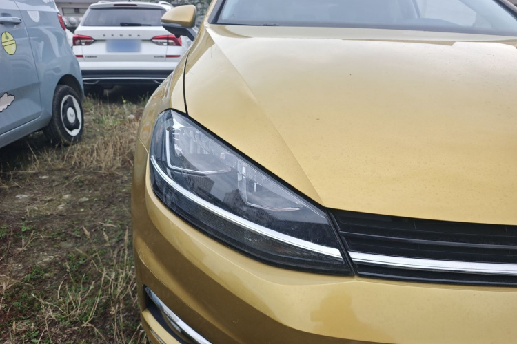 Volkswagen Golf 2019 imagen de coche #7