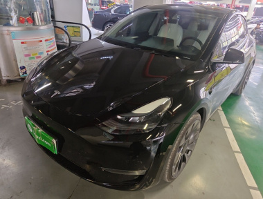 Tesla Model Y 2022 car image 