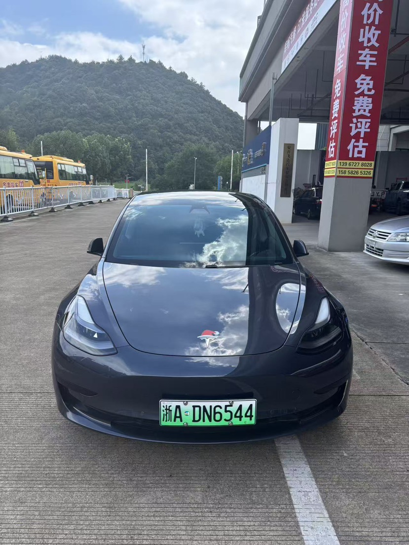 Tesla Model 3 2021 car image 