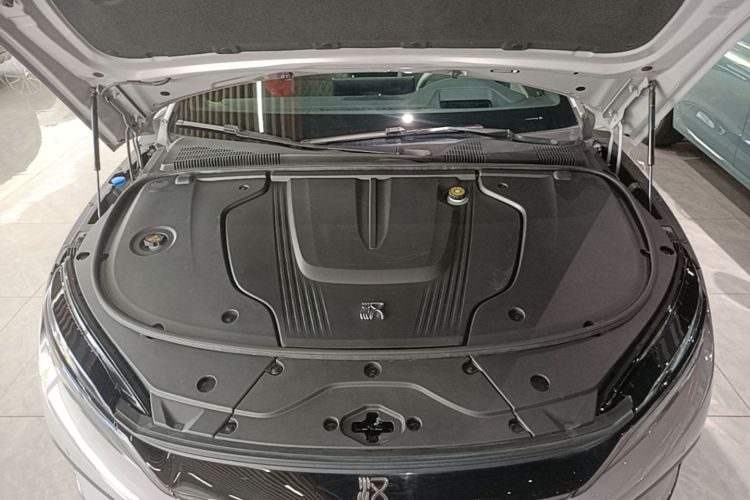 BYD Han 2024 car image #20