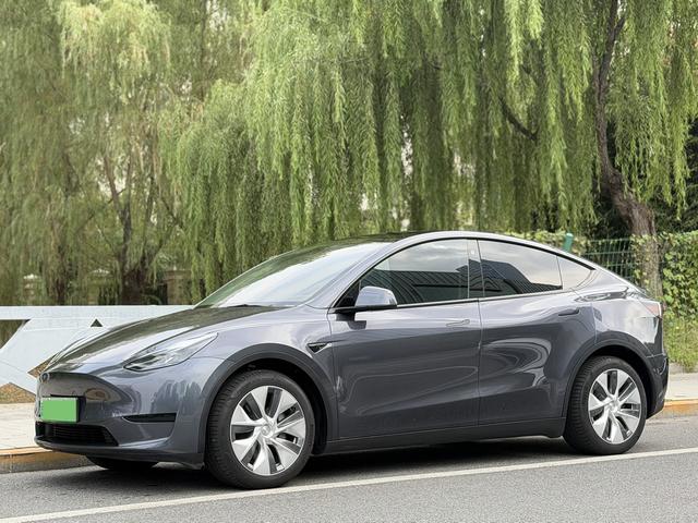 Tesla Model Y 2022 #28 Tesla Model Y 2022 car image #28