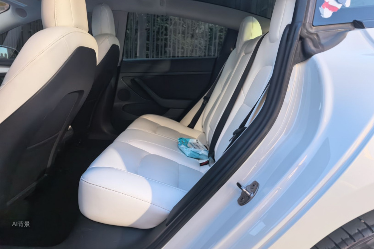 Tesla Model 3 2021 car image #19